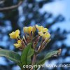 Oahu 2010
