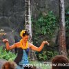 Oahu 2010