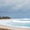 Oahu 2010