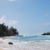 Oahu 2010